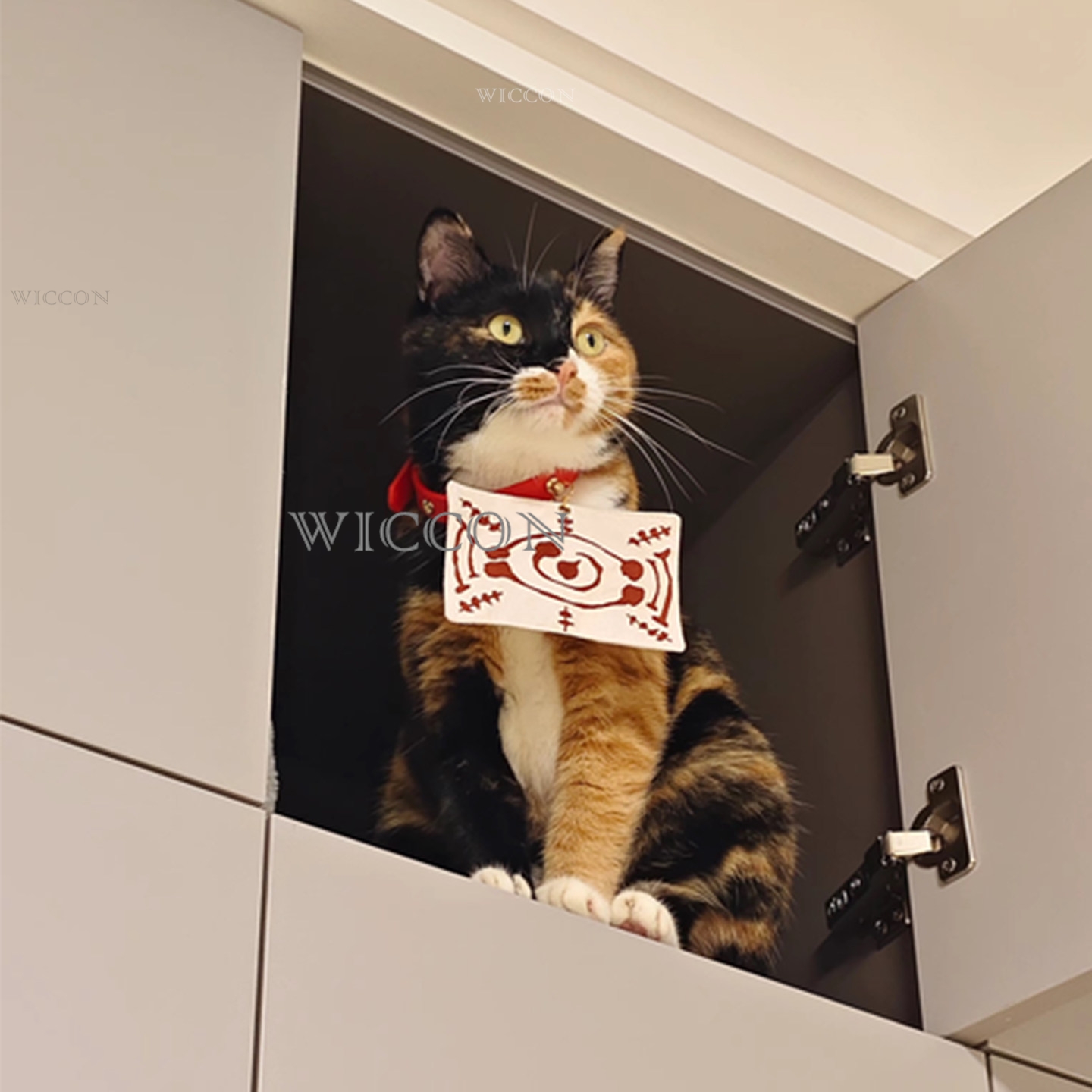 Chachamaru Cat Tamayos: Decora - Cosplay Anime Jjk recensione e prezzo
